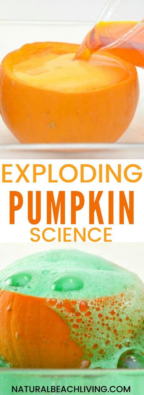 Pumpkin Science Experiments - Pumpkin Volcano for Kids - Natural Beach Living