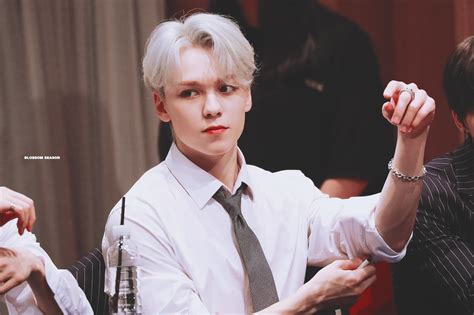 Chwe Hansol Vernon And Seventeen Image On Favim