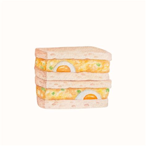 vector hand drawn watercolor scrambled egg sandwich