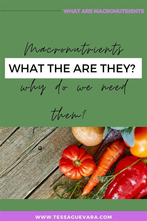 The Ultimate Guide To Macronutrients What You Need To Know In 2023