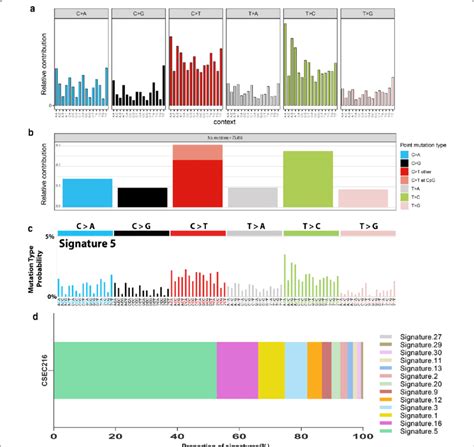 Sna Spectrum And Mutational Signatures Of Csec A Distribution Of