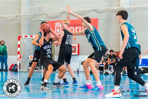 Tres de los equipos masculinos del Club Soria Baloncesto continúan