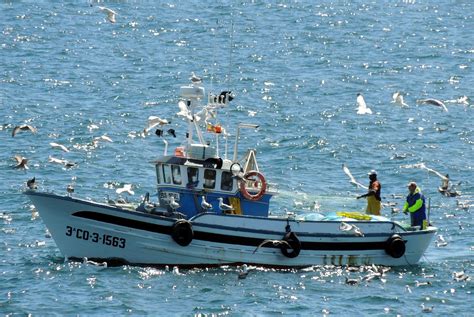 Artes De Pesca Tradicional En Galicia Albariñ