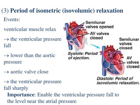 PPT The Phases Of The Cardiac Cycle Period Of Isometric