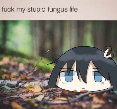 Fuck My Stupid Baka Life: Image Gallery | Know Your Meme