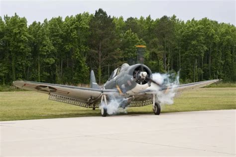 SBD Dauntless WalkAround NET MAQUETTES