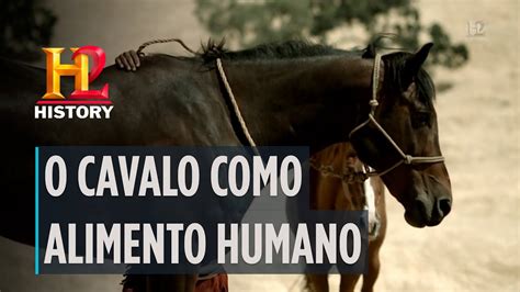 O Que O Cavalo Fornece Ao Ser Humano - O cavalo como alimento humano | A GRANDE HISTÓRIA | HISTORY - YouTube