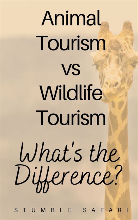 Wildlife Tourism Vs Animal Tourism What S The Difference Artofit