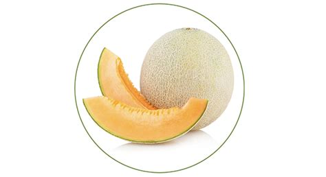 Glisodin Extrato De Mel O Cantaloupe