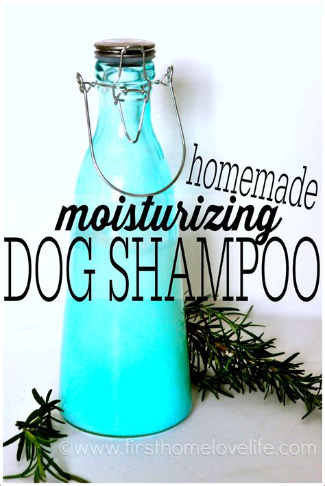 Homemade Shampoo For Itchy Dogs - Homemade Ftempo