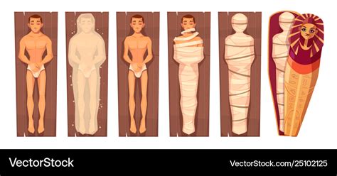 Egyptian Mummy Mummification Process Royalty Free Vector