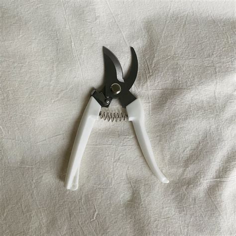 Tijera De Poda Eterno Comprar En The Nude Store