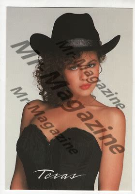 Texas Brunette Lingerie Model x Postcard Sexy Cheesecake Risqué Pinup PS eBay