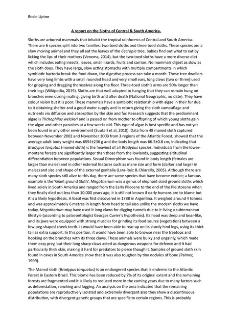 A report on the Sloths of South America - A report on the Sloths of