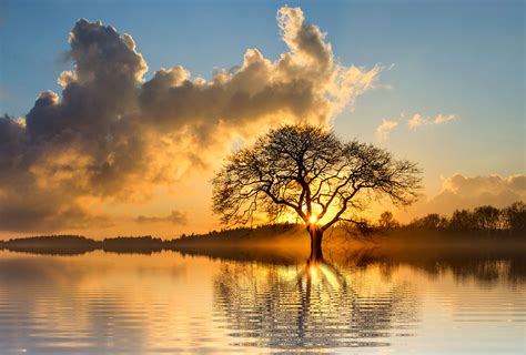 stunning  images pixabay  images   tscpu