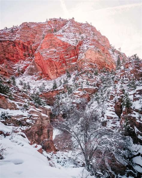 Guide to Zion in Winter • Nomads With A Purpose