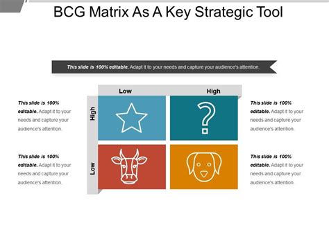 Bcg Matrix As A Key Strategic Tool Sample Of Ppt Template Presentation Sample Of Ppt