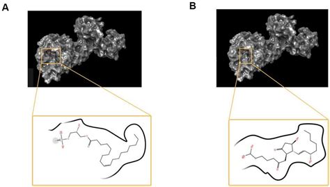 The Molecular Docking By Schrodinger Ligands Were Docked Into The