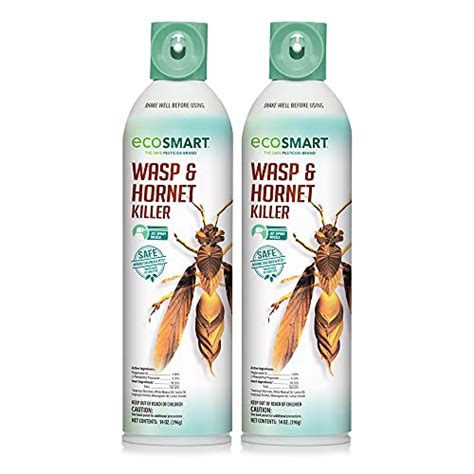 Find The Best Product For Killing Wasps Reviews Comparison Katynel