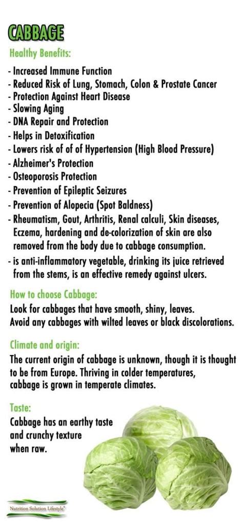 Cabbage Healthy Benefits Cabbage Health Benefits Cabbage Benefits