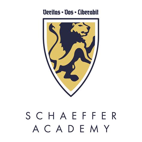 Critics are divided over brinley schaeffer recent public statement