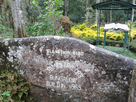 Paradise Tours: Trip to the First Tea Plantation in Sri Lanka (Ceylon)