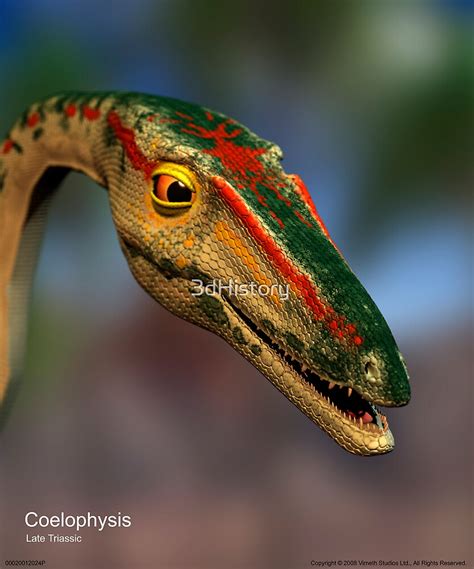 Coelophysis By 3dhistory Redbubble