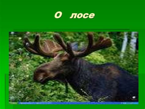 Имя прилагательное - презентация онлайн