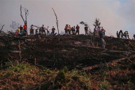 Incendios Forestales No Dan Tregua Bosque Del AgÜil Nuevamente