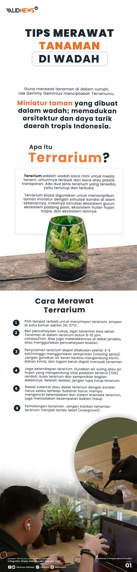 Tips Merawat Tanaman Di Wadah