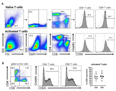 cells  full text  inhibitory role  human cd endodomain