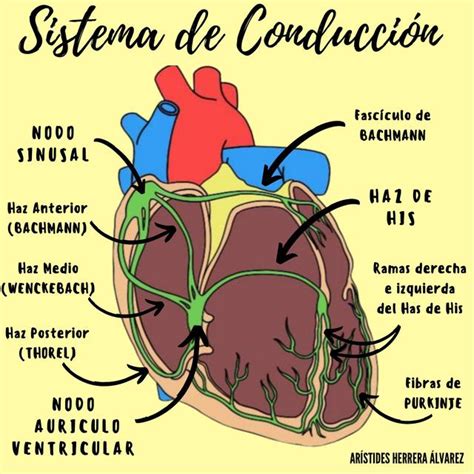 Sistema de Conducción ARISTIDES HERRERA ALVAREZ uDocz