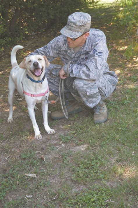 craigslist san antonio texas pets 3