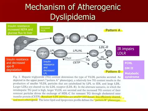 Mixed Dyslipidemia Definition at Alexis Kevin blog