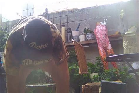 Gay Porno In Het Nederlands Seksvideo S Met Nederlands Audio Xhamster