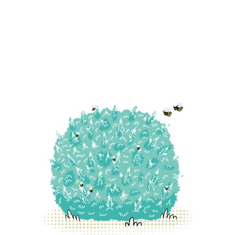 Wild privet - Wownature