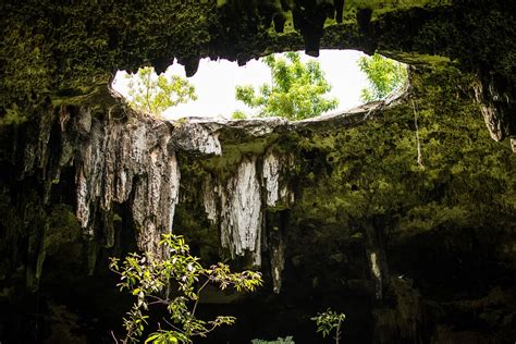 El Nuevo Trazo Del Tren Maya Amenaza Los Cenotes De Quintana Roo