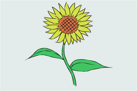 Come Disegnare Un Fiore Con Immagini WikiHow