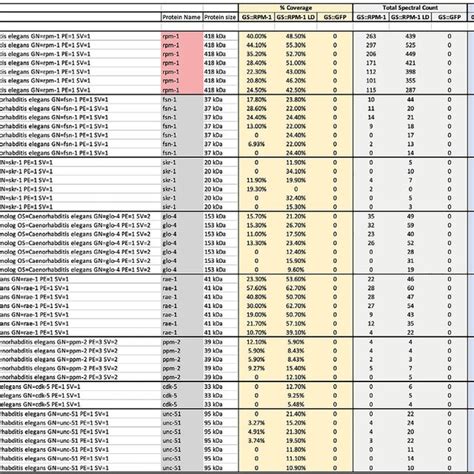 Example of proteomics data organization (step 22) | Download Scientific ...