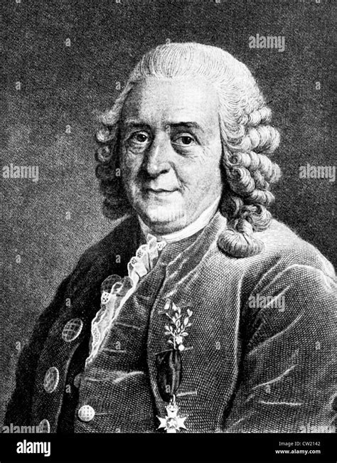 Carl Linne, Carl von Linne Stock Photo - Alamy