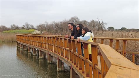 Parque Nacional de las Tablas de Daimiel Itinerarios y cómo visitarlo