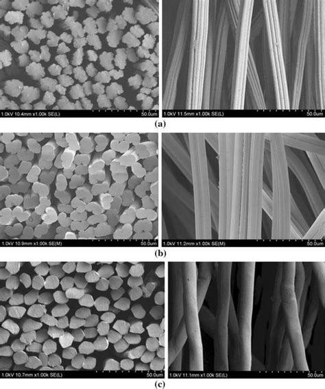 Cross Sectional And Longitudinal Images Of Various Fibres A