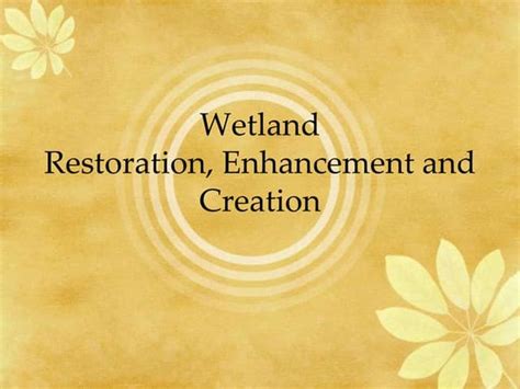 Remote Sensing And Gis Application In Wetland Mapping