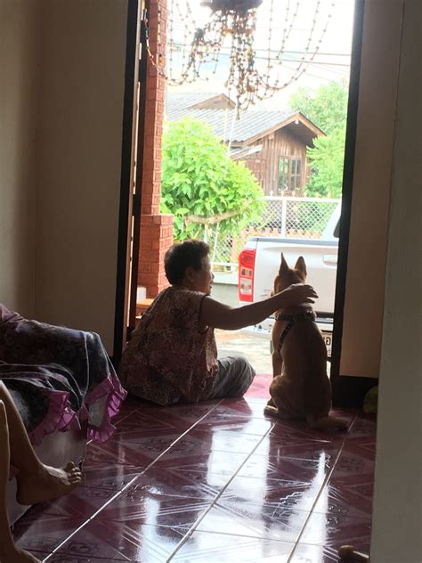 Greetings | My personal journey Retiring to Chiang Mai