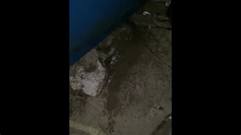 Wishing You Were Under My Stream Pornhub Gay