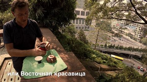 Где удобно пить китайский чай? - YouTube