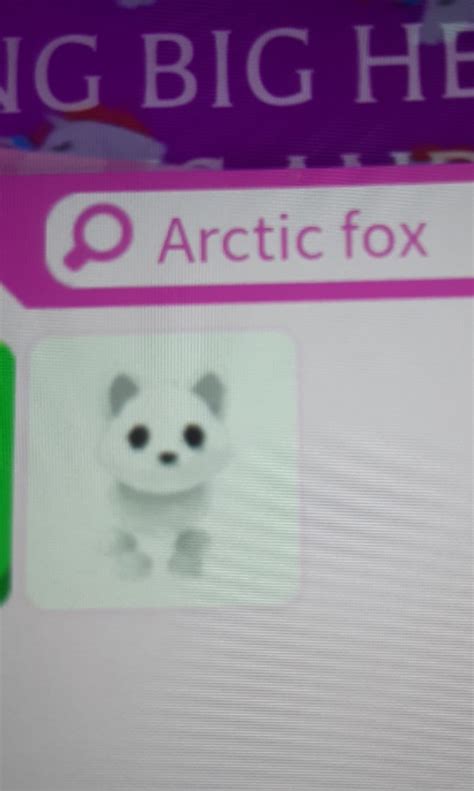 Adopt Me Arctic Fox Hobbies Toys Toys Games On Carousell