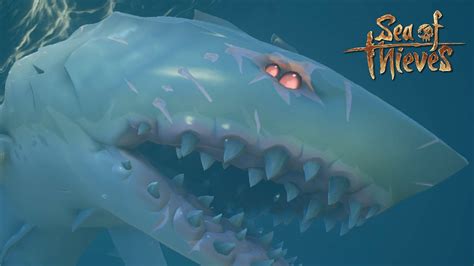 Download Free 100 + megalodon sea of thieves