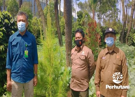 Perhutani Perhutani Terima Kunjungan Tim Pembina Rhl Tingkat Provinsi