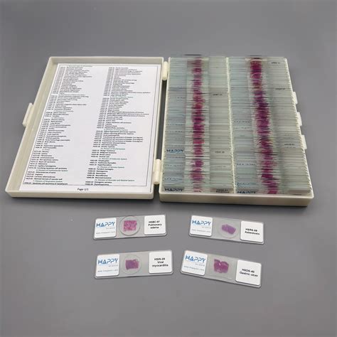 Advanced 120pcs Human Histopathology Slides wholesale, University ...